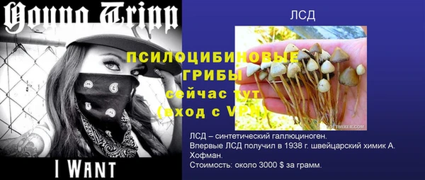 ECSTASY Баксан