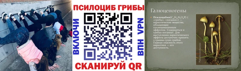 Псилоцибиновые грибы GOLDEN TEACHER Ивантеевка